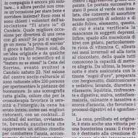 A tavola i piatti del sorriso con «Ti Aiuto Io» da Il Biellese del 09/12/203