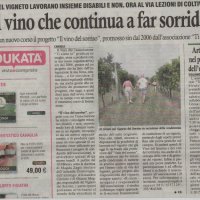 Quel vino che contunua a far sorridere da Eco di Biella del 24/01/2015,,