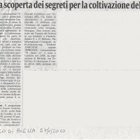 Alla scoperta dei segreti per la coltivazione della vite da Eco di Biellla del 27/01/2020,,