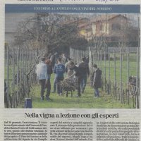 Nella vigna a lezione con gli﻿ esperti da La Stampa del 24/01/2020