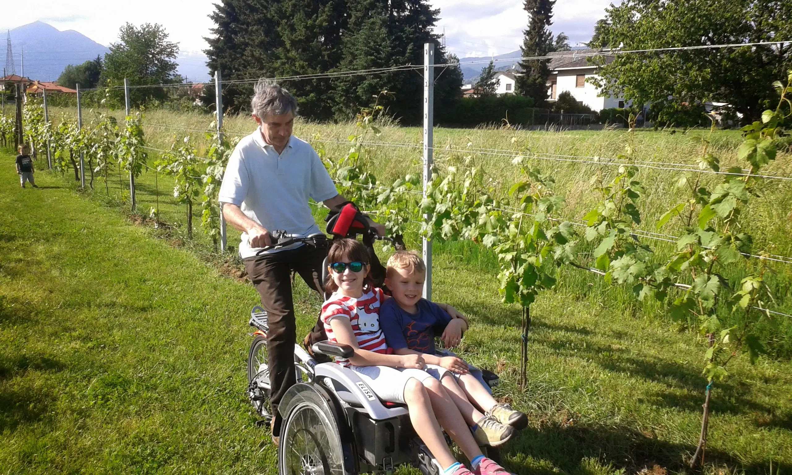 Due vambini che si fanno poortare da Albertelungo i filari della vigna sulla bici-carrozzina